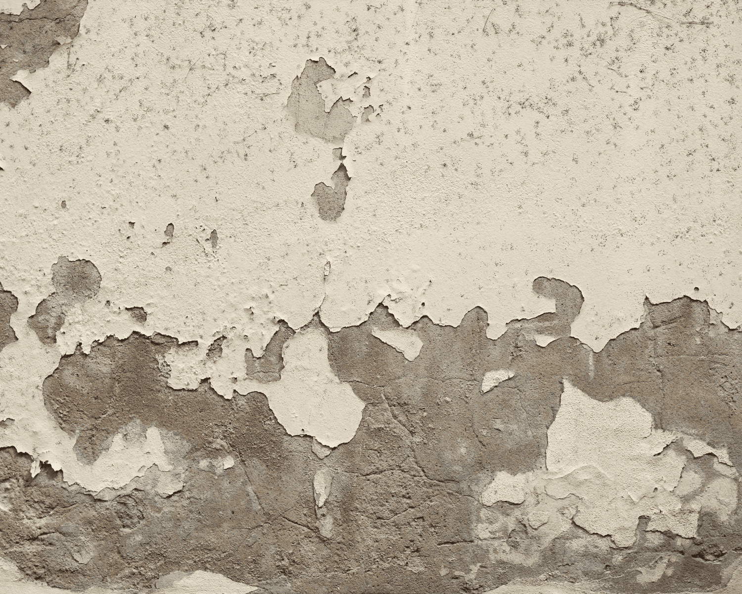 Why Is My Paint Peeling? Top 10 Causes - A New View Painting
