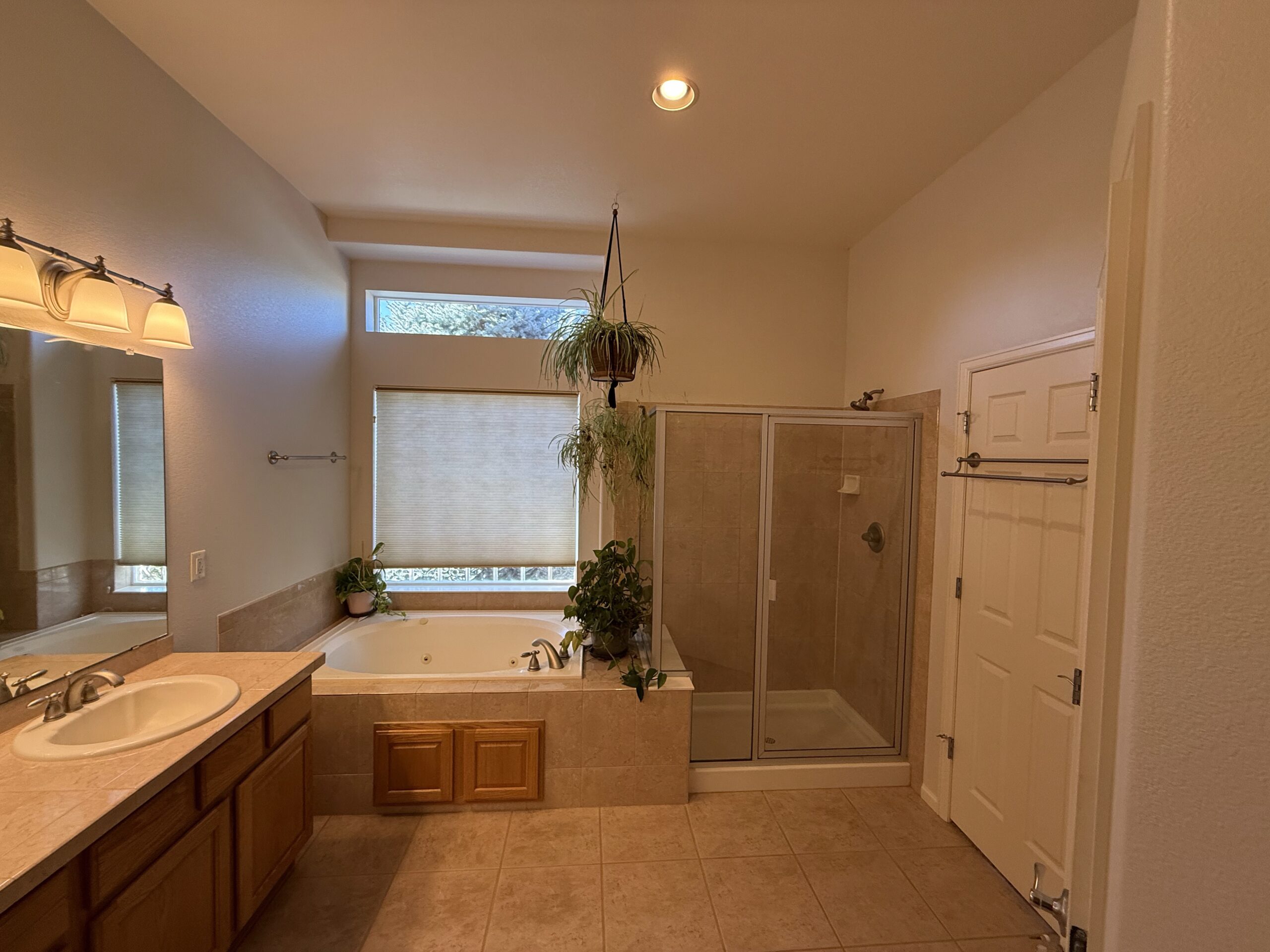 best paint for bathroom walls and ceiling